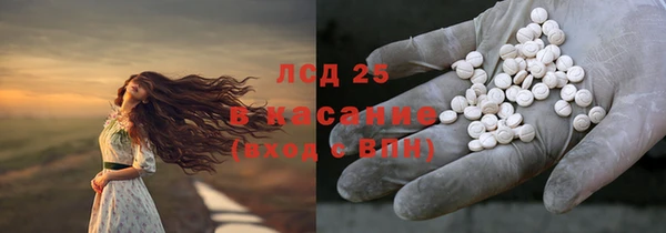 a pvp Ельня