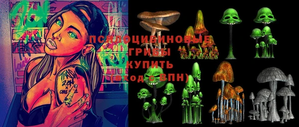 a pvp Ельня