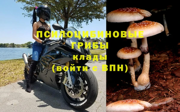наркотики Елизово