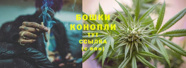 a pvp Ельня